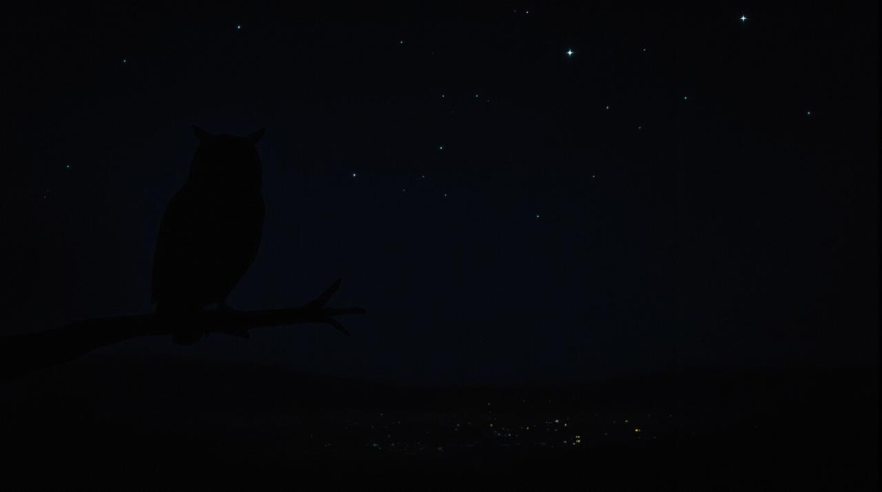 午夜视频福利 - 暗夜光影